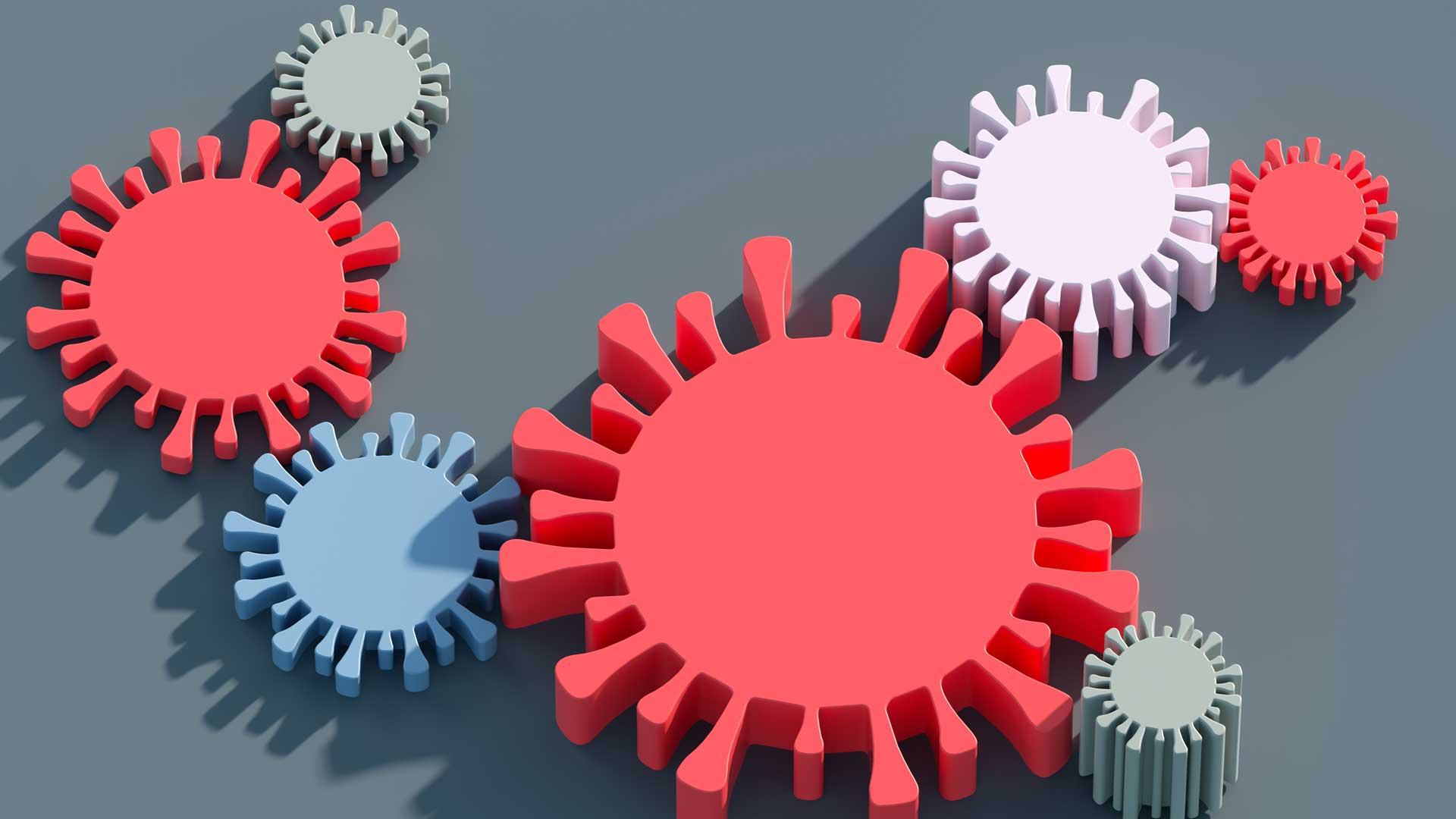 The COVID19 Pandemic Assessing Impacts on the Economy, Household