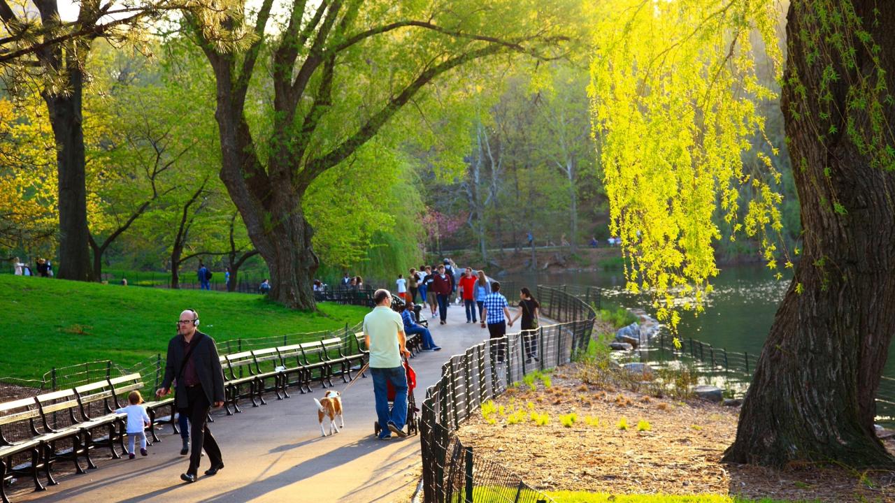 People stroll through New York City's Central Park on a sunny day