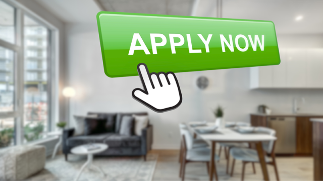 Apply Now button