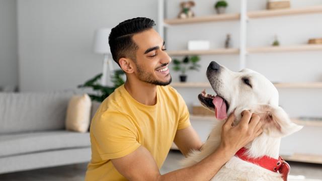 Young man hanging out with his dog in his apartment