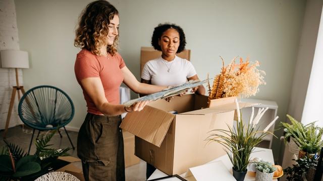 Student renters